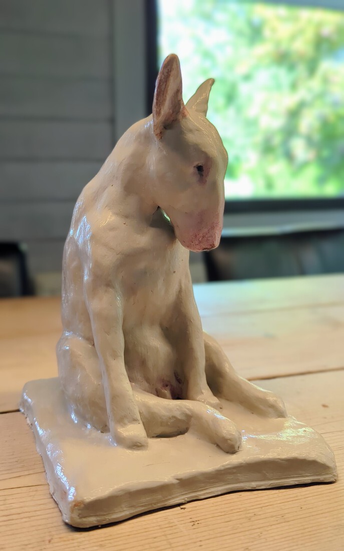 Bull terriër 