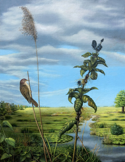 Acrocephalus paraciticus en Phyta insecticapa (Olieverf)