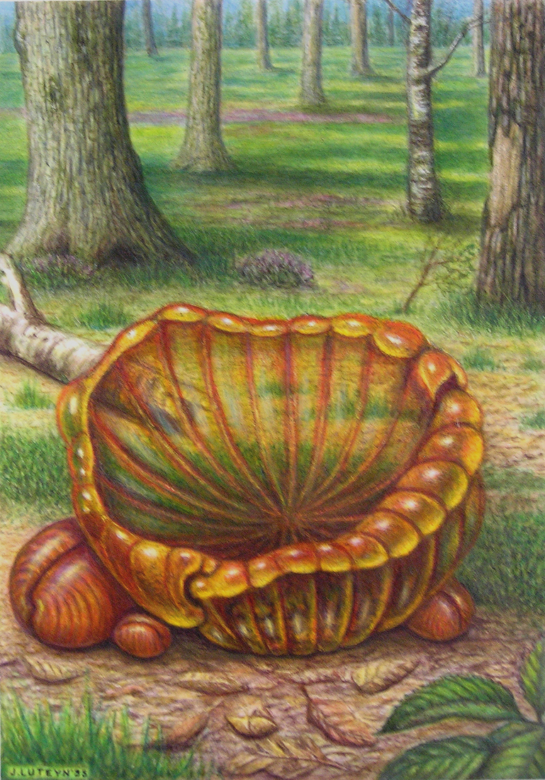 Bekerzwam (Acryl / pastel)