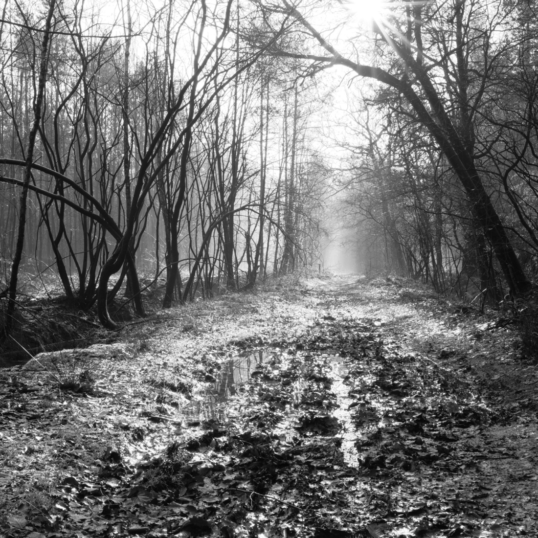 Yellow brick road