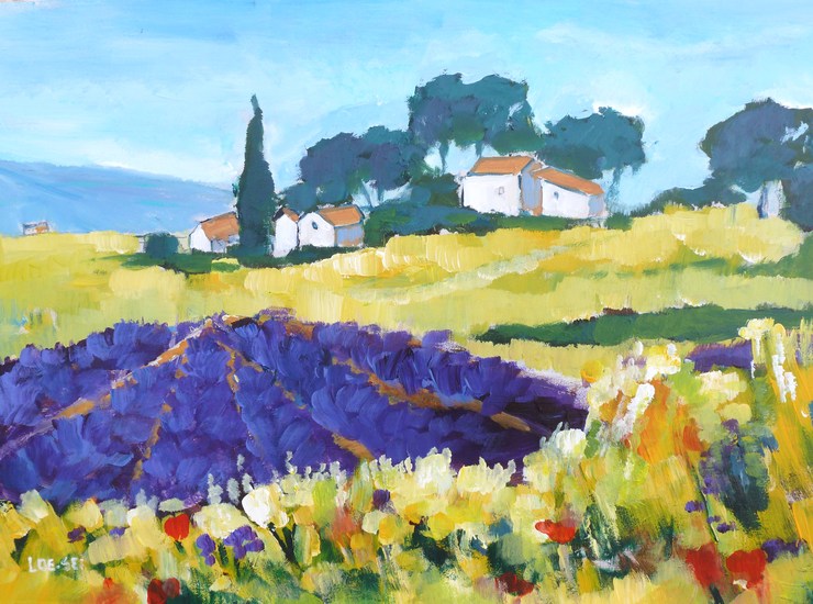 Provence (8)