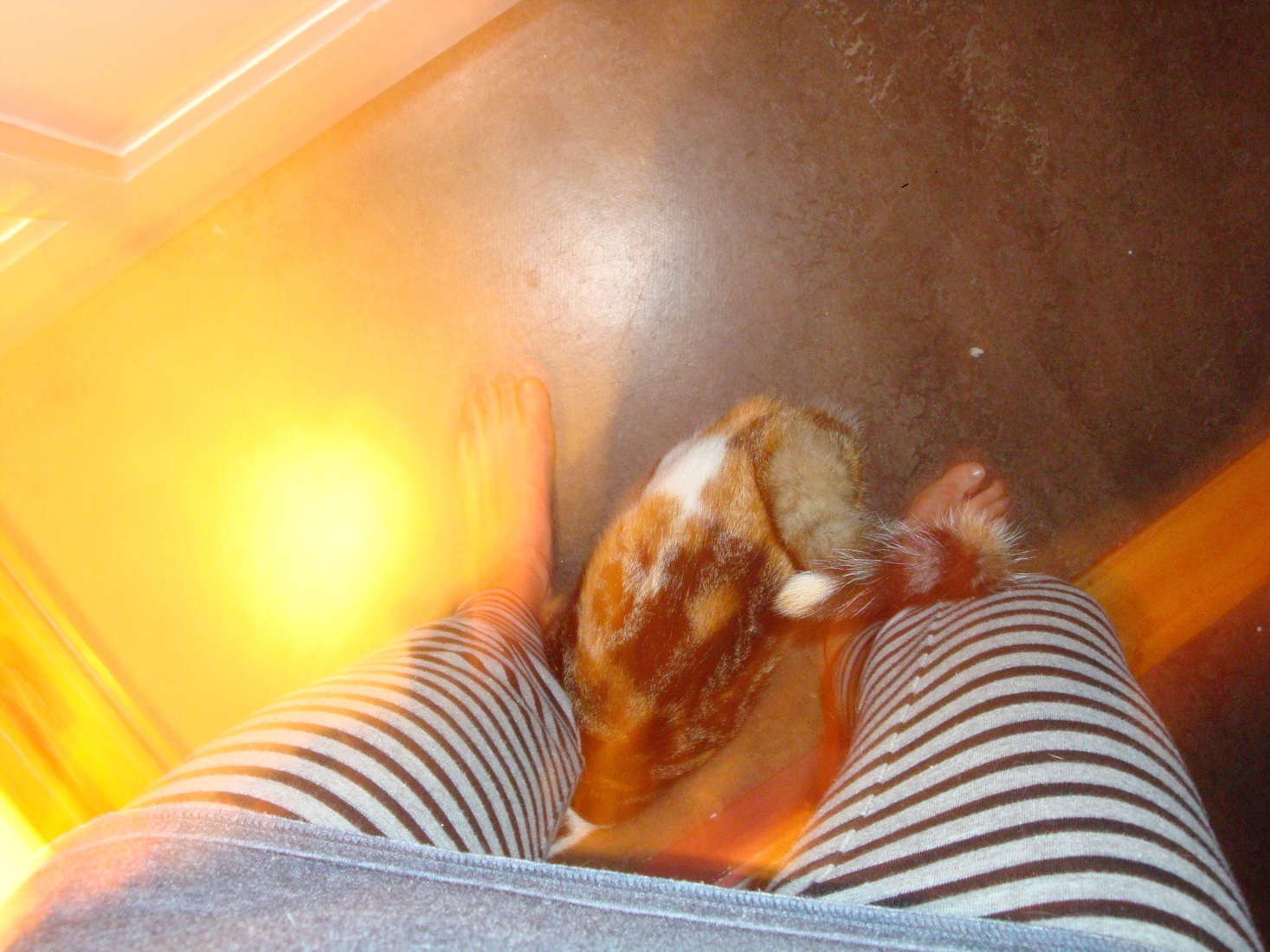 Only you make me do for love what I would not do