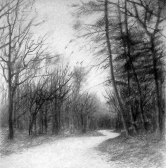 Ommen en omstreken 1