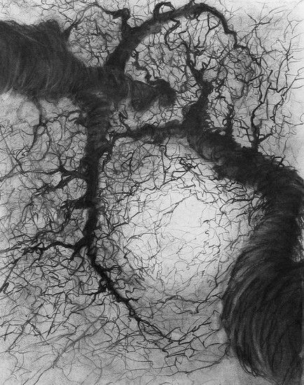 het duurde eeuwen voor we konden kussen