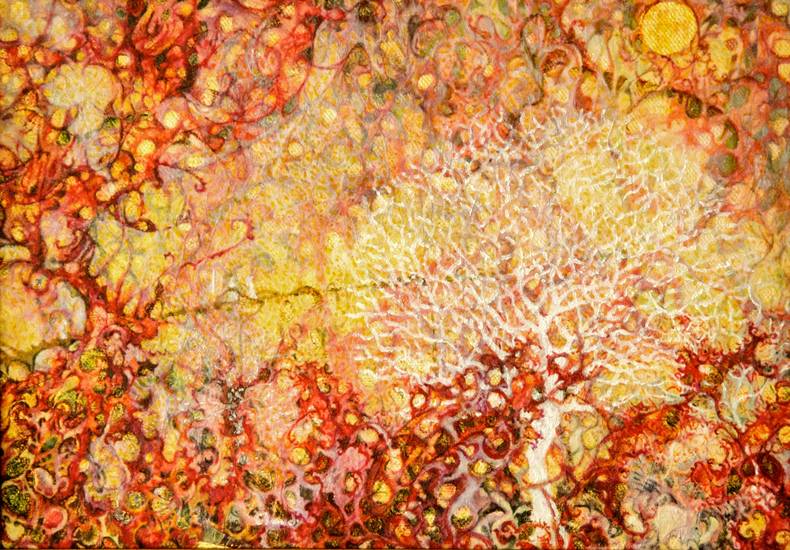 pays des arbres blancs