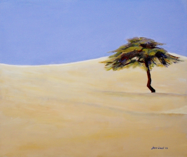 Boompje in de woestijn