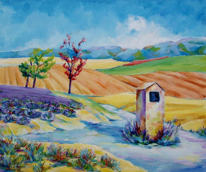 Landschap nabij Saint Laurant de Verdon