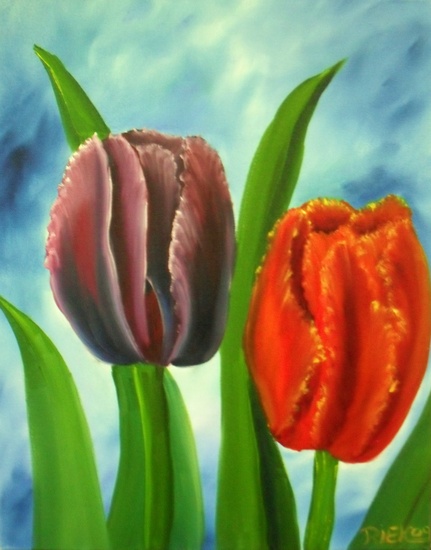 2 tulpen