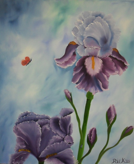2 blauwe irissen