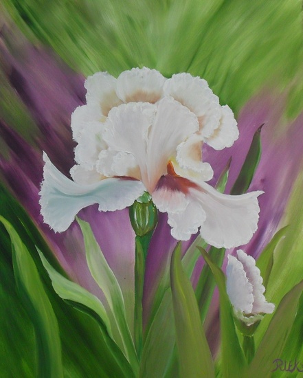 White Iris
