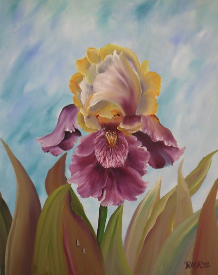 Yellowpurple Iris