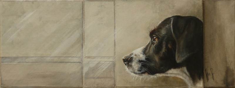 Sloeber aan het raam