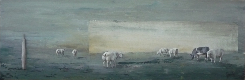 De koeien van Willy en Nicole