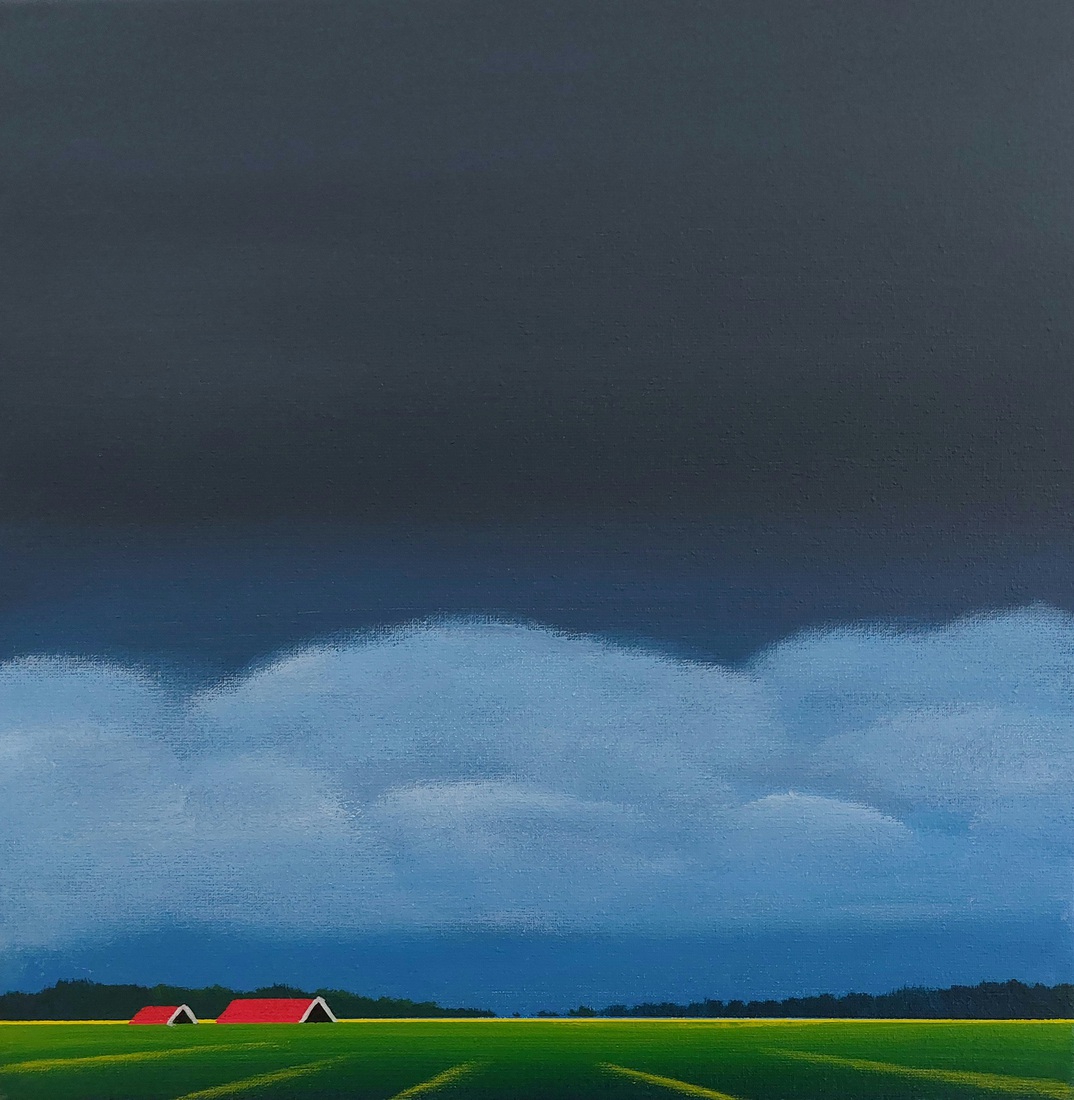 Polder in Zeeland (mei)