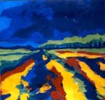 Oude Drentse landschappen door mij gezien en gevoeld.