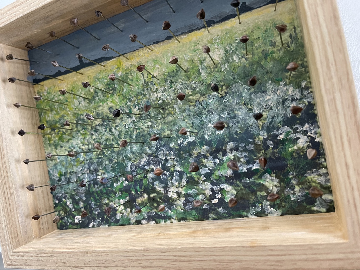 Boekweitlandschap