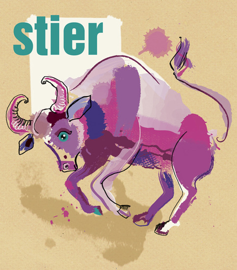 Stier