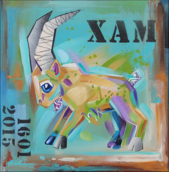 Steenbok - geboorte Xam