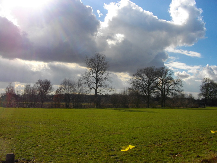 'woeste wolken' voorjaar