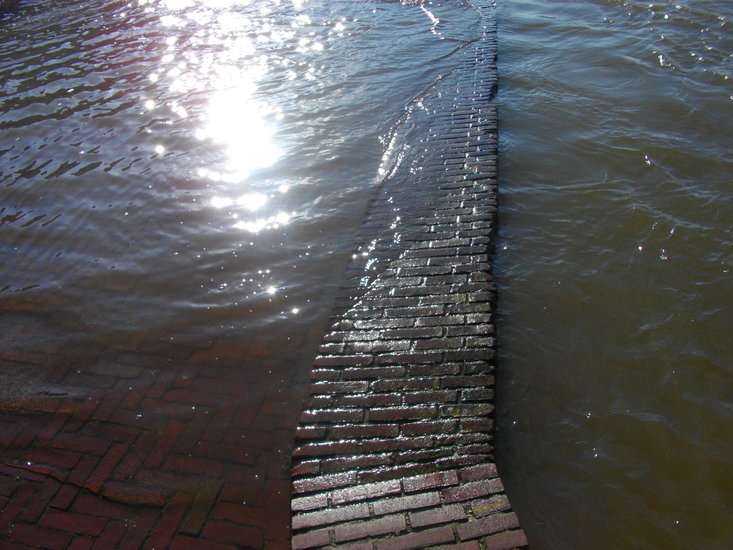 'verdronken pad' winter