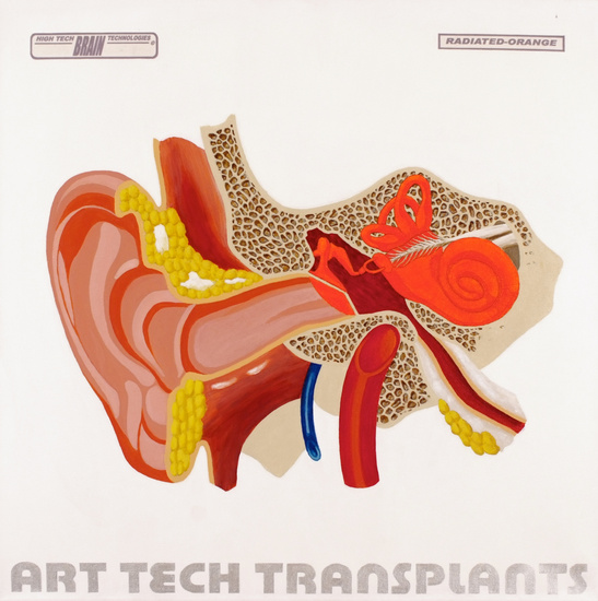HTBT art tech Transplant: radiated orange