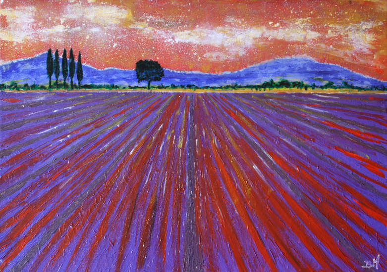 Lavande en Provence