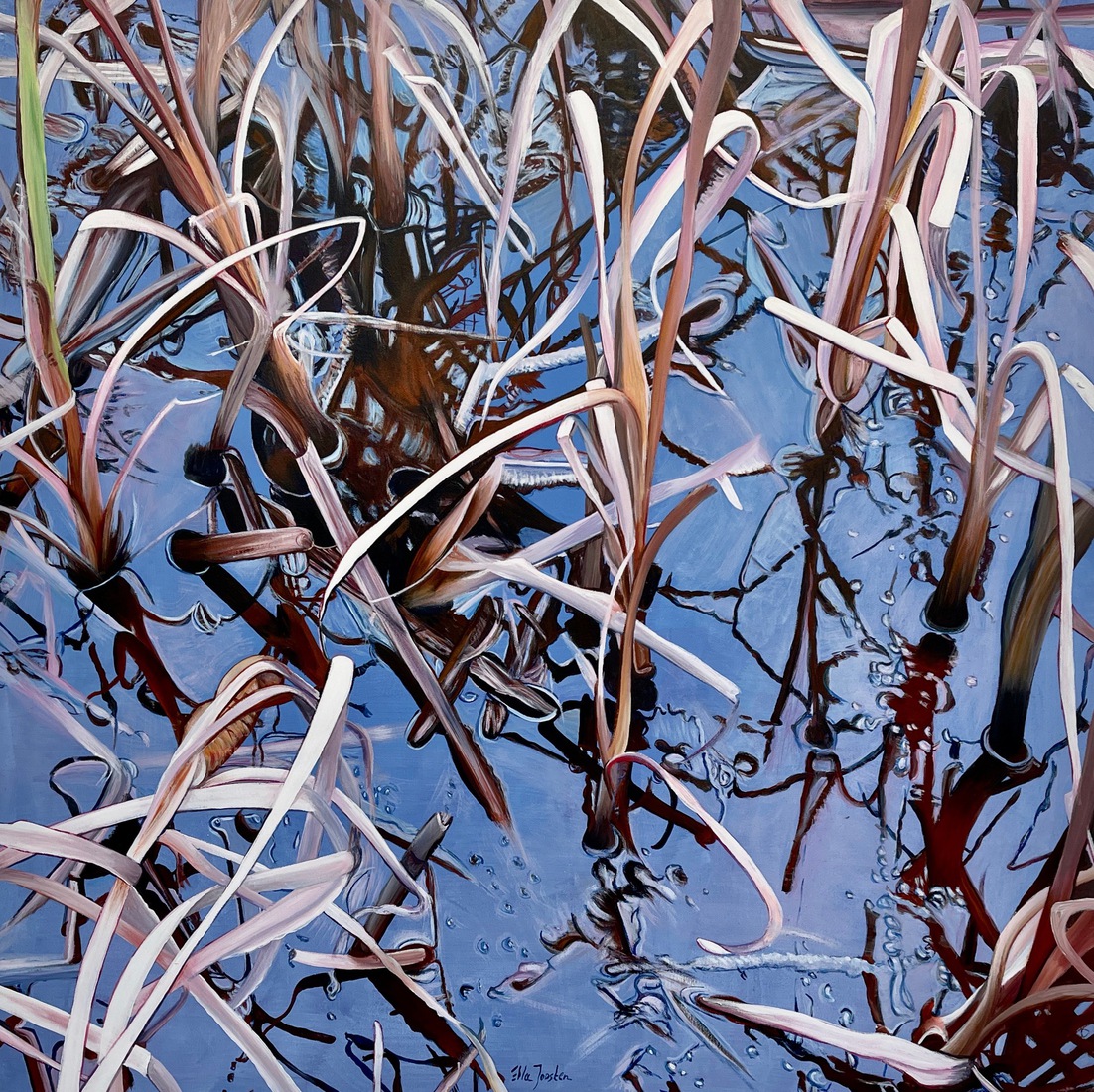 Reflection One