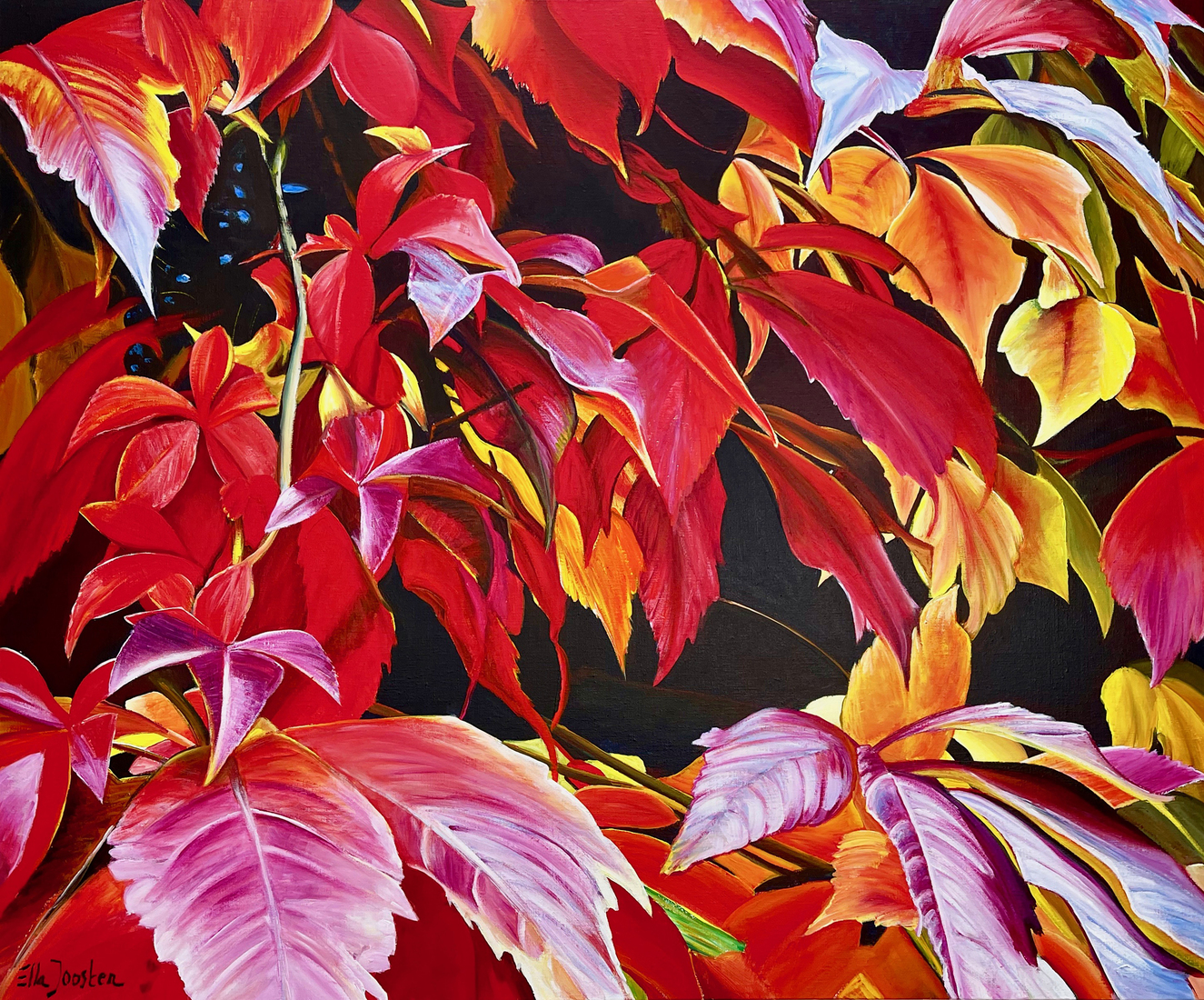 Symphony in Red
