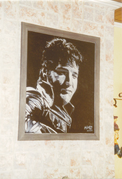 elvis stoer