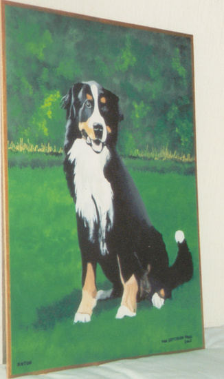 hond anton