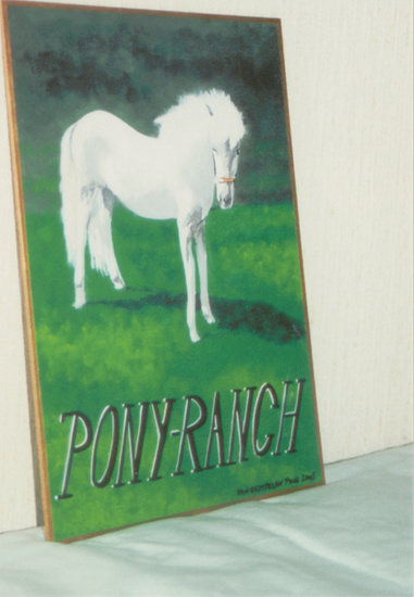 Pony