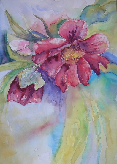 kerstroos Helleboris