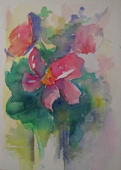 kerstroos helleboris