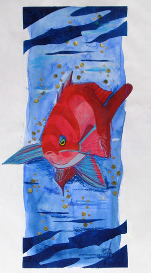 Anthias 3