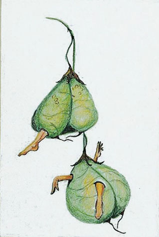 Peul 2