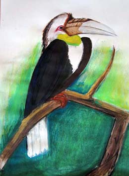 Papagaai vogel