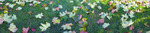 Allerlei panorama foto's die ik heb gemaakt met mijn digitale fotocamera.
