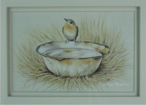 Vogel op drinkschaal