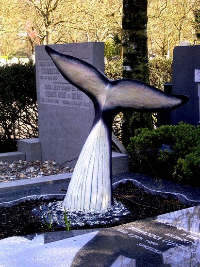 Tail of diving Humpback