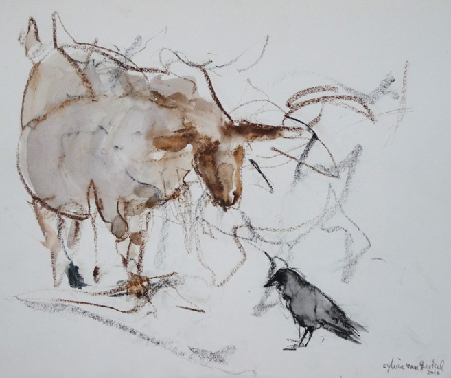 waar komen wij vandaan?