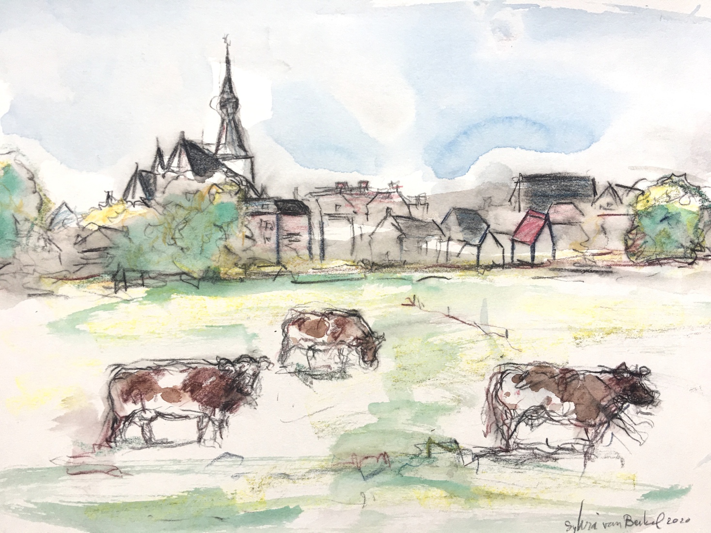 Hattem en koeien in de wei