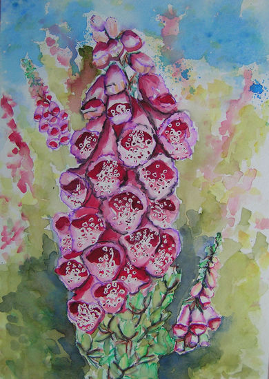 Digitalis (Vingerhoedskruid)