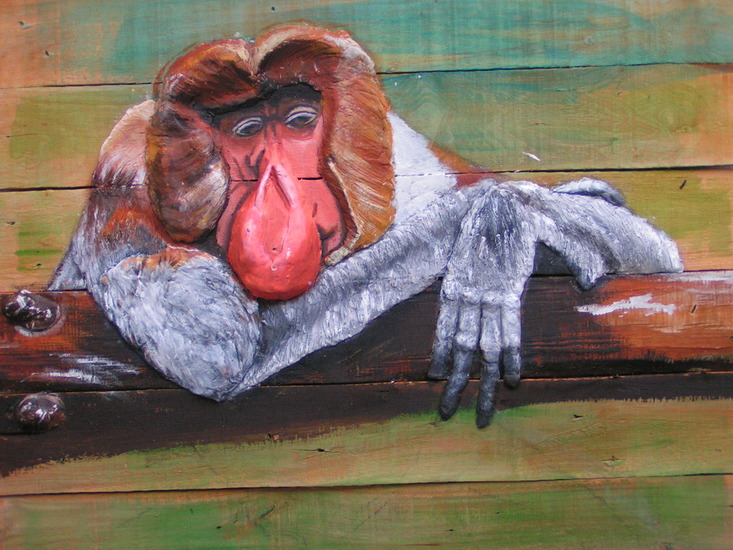 Neusaap uit Borneo