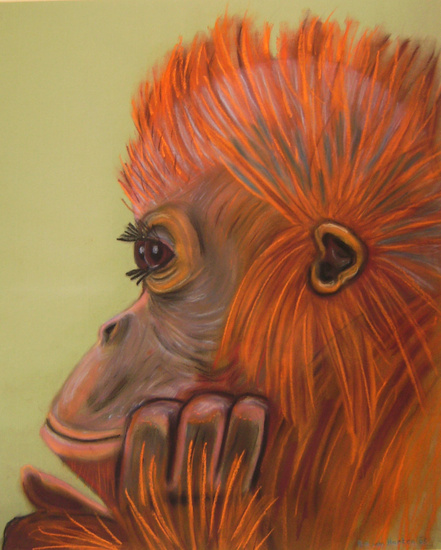 Orang-oetan
