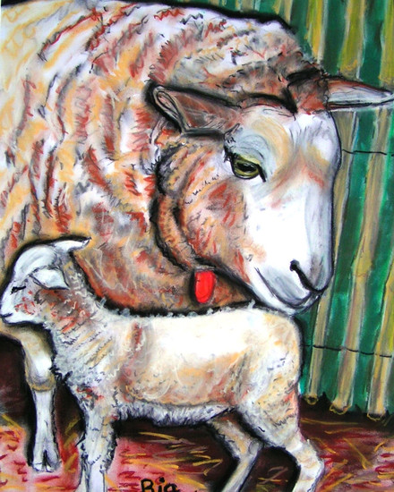 Schaap met lammetje