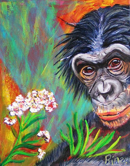 Bonobo