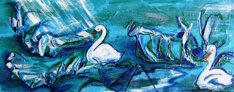 zwaan en pelikaan