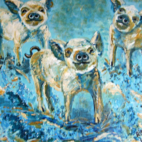 blauwe varkens