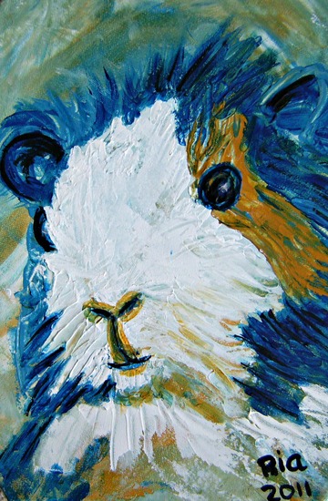 Cavia