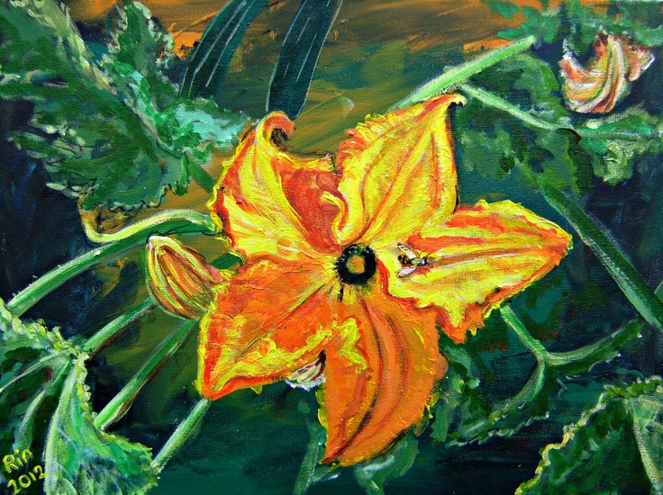courgettebloem